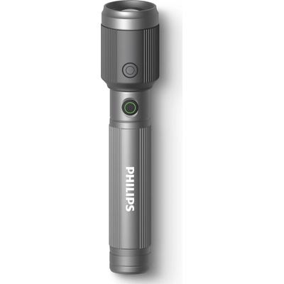 Philips LED фенер Philips SFL2141 (SFL2141/10)