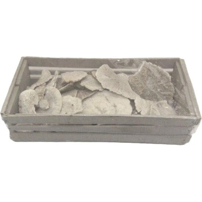 Sponge muschrom white wash, box 50 ks