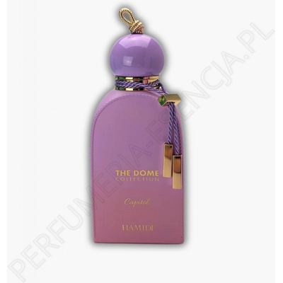 Hamidi Capitol parfémovaná voda pánská 100 ml