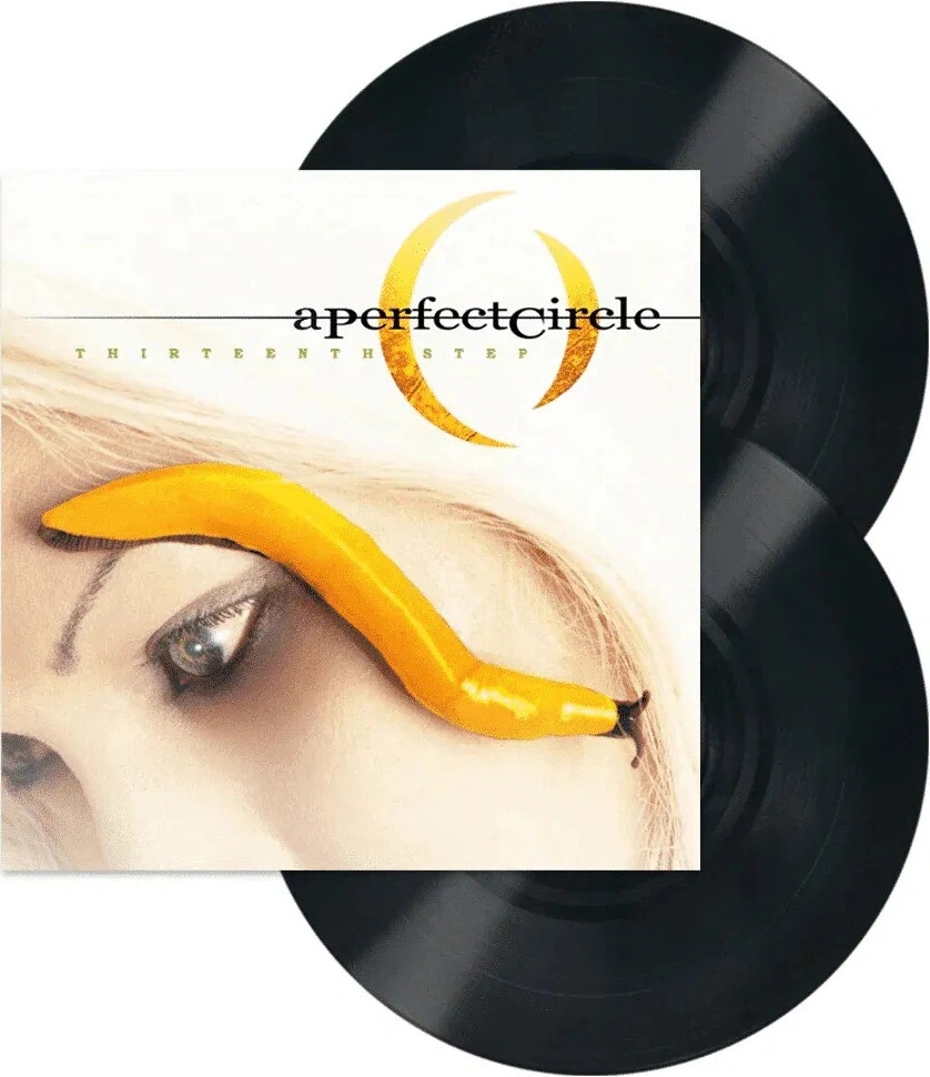Perfect Circle - Thirteenth Step LP