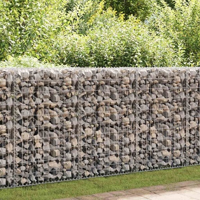 vidaXL Gabionový koš pozinkovaná ocel 200 x 30 x 100 cm