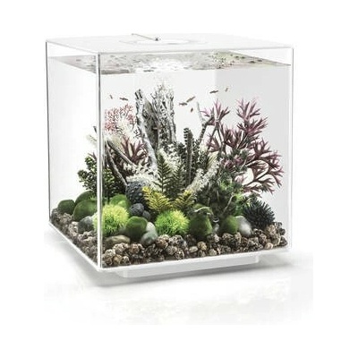 BiOrb Cube 60 LED MCR priehľadne 60 l