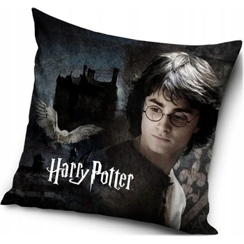 Carbotex Harry Potter motív Nástupište 9 ¾ 40 x 40 cm