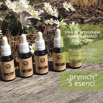 Bachovy květové esence jako start do nové etapy 20 ml