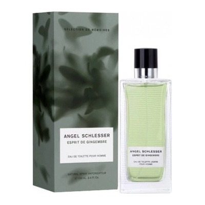 Angel Schlesser Gingembre toaletní voda pánská 100 ml