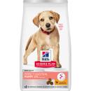 Hill's Science Plan Perfect Digestion granule pro štěňata velkých plemen 2 x 14,5 kg