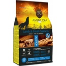 Ambrosia Jahňacie a Čerstvé Losos 12 kg