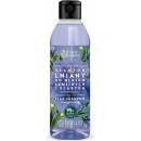 Barwa Natural Flax posilňujúci šampón s vitamínmi 300 ml