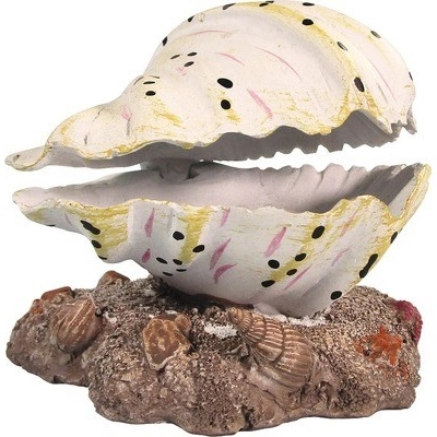 Macenauer Mušle 12 cm