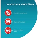 Purina One Bifensis Sterilcat kura 6 kg