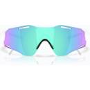 Oakley CYBR ZERO