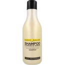 Stapiz Basic Salon Flowers & Keratin Shampoo Šampón na kvety a keratín 1000 ml