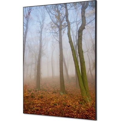 Jansen Display Textilní dekorace na zeď A1 Podzimní mlha, 594 x 841 mm