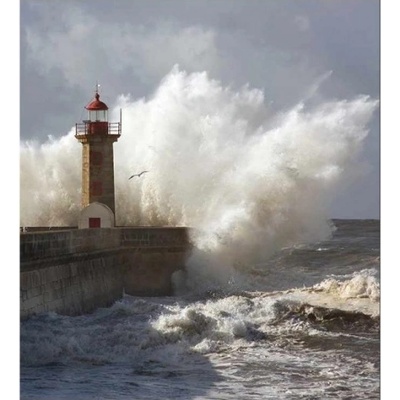 DIMEX ART Флизелинов фототапет фар 225 x 250 см