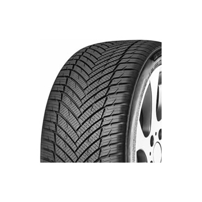 MINERVA ALL SEASON MASTER 255/50 R20 109W