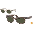 Ray-Ban RB2242 138331