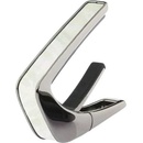 Thalia Shell Collection