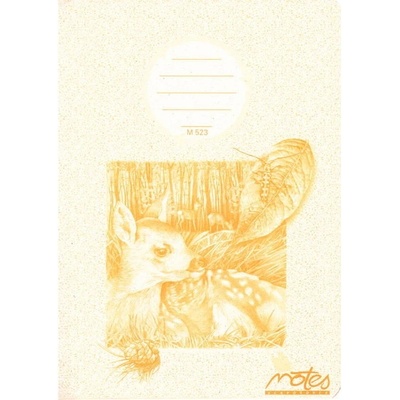 NOTES Sešit č523 EKO RETRO
