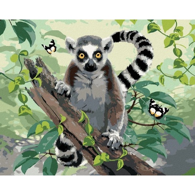 Zuty Malování podle čísel Lemur a motýli Howard Robinson 80 x 100 cm vypnuté plátno na rám