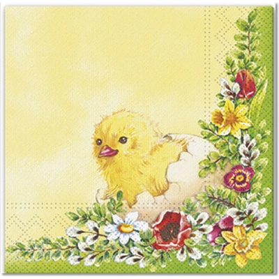 Argus Veľkonočné servítky 33x33cm 20 ks 19032010