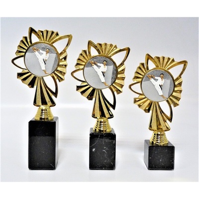 VIZINGR Karate trofeje K23-FG005 24 cm