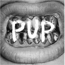 PUP: PUP LP