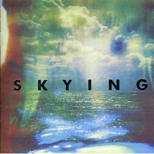 The Horrors - Skying (CD) (0634904053925)