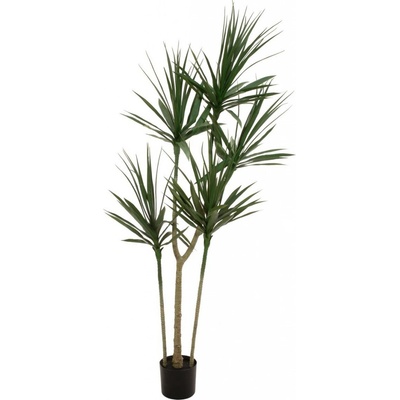 umělá palama Dracena, 170cm