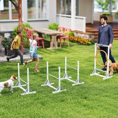 PawHut Agility překážky pro psy bílé