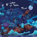 Aja Monet - The Color Of Rain (2 LP) (0617308007343)
