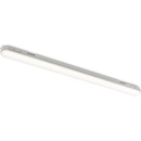 Rendl G13670
