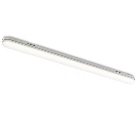 Rendl G13670