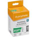 Prophete FV