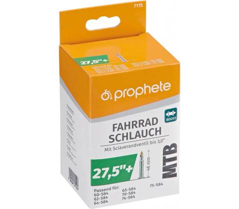 Prophete FV