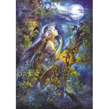 Image 1 of Art Puzzle - Puzzle My Dreams - 1 000 piese