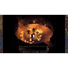 Baldurs Gate (Enhanced Edition)