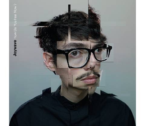 Joywave How Do You Feel Now?