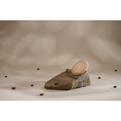 Kvitok Solution ŠamponHair booster 50 g