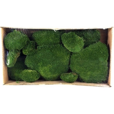Stabilizovaný mech bochánky 0,2 kg - tmavě zelený