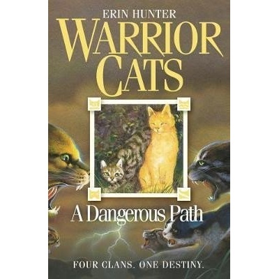 Dangerous Path
