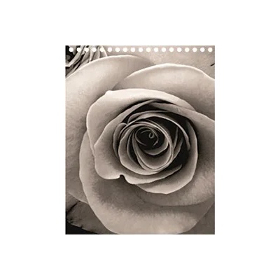 Inter ceramic ЗАВЕСА ПВЦ 1.80х2.00 РОЗА (143)