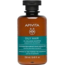 Apivita Oily Roots & Dry Ends Shampoo 250 ml