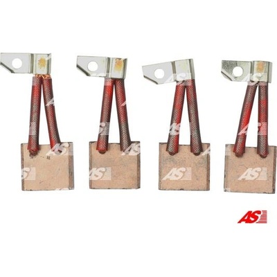 AS-PL Uhlíkový kartáč, startér Brand new AS-PL Start MASX23-24