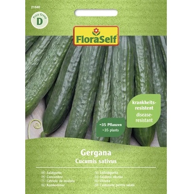 Okurka salátová Gergana FloraSelf