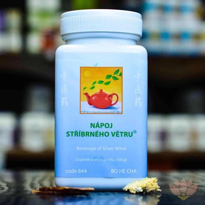 TCM Herbs Nápoj stříbrného větru 844 100 tablet