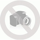 Project 4th edition 1 Teacher´s book with Online Practice without CD-ROM - Tom Hutchinson