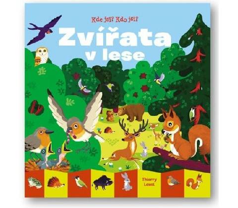 Zvířata v lese