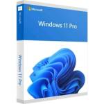 Microsoft Windows 11 Pro 64 Bit, English, OEM, DVD