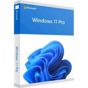 Microsoft Windows 11 Pro 64 Bit, English, OEM, DVD