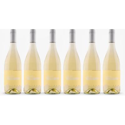 Vinařství Nikolsburg Frizzante cuvée Chardonnay+Sauvignon suché bílé 2025 12,0 % 6 x 0,75 l (holá lahev)